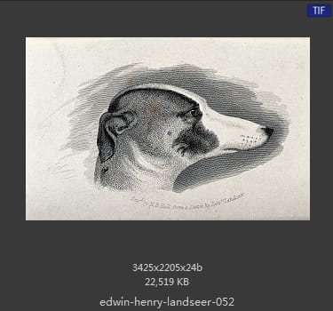 Edwin Henry Landseer