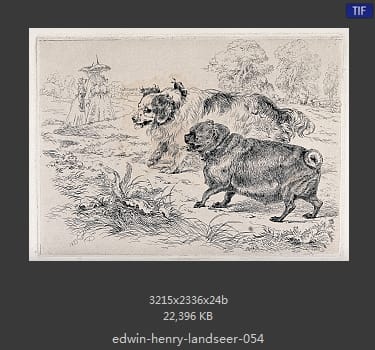 Edwin Henry Landseer