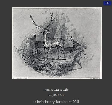 Edwin Henry Landseer