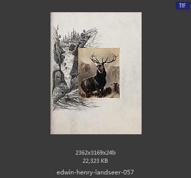 Edwin Henry Landseer