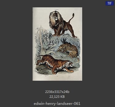 Edwin Henry Landseer