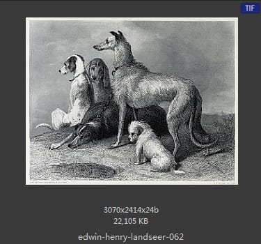Edwin Henry Landseer