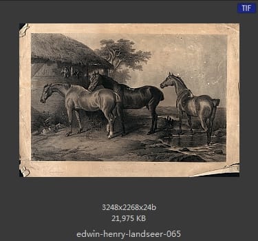 Edwin Henry Landseer