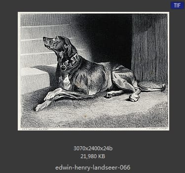 Edwin Henry Landseer