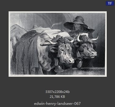 Edwin Henry Landseer