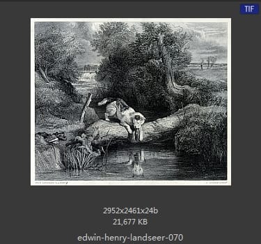Edwin Henry Landseer