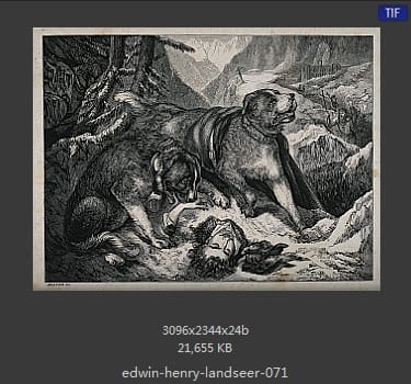 Edwin Henry Landseer