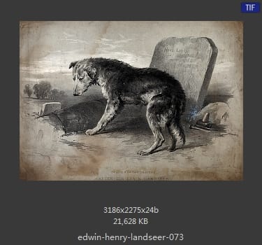 Edwin Henry Landseer