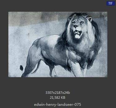 Edwin Henry Landseer