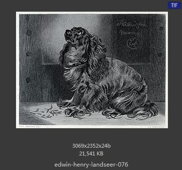 Edwin Henry Landseer