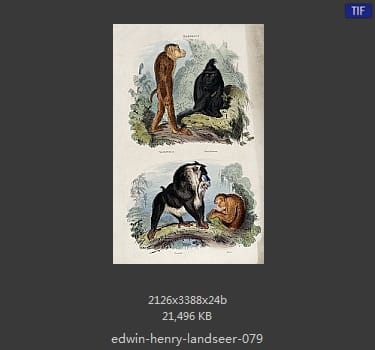 Edwin Henry Landseer