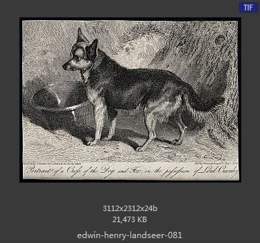 Edwin Henry Landseer