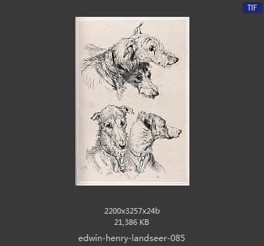 Edwin Henry Landseer