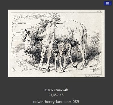 Edwin Henry Landseer