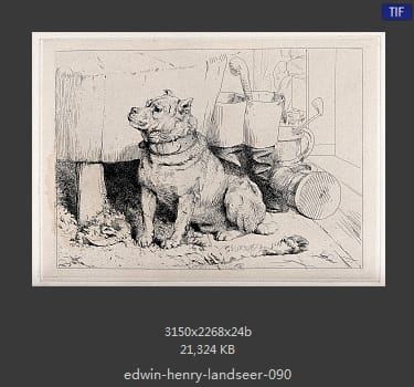 Edwin Henry Landseer
