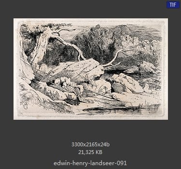 Edwin Henry Landseer