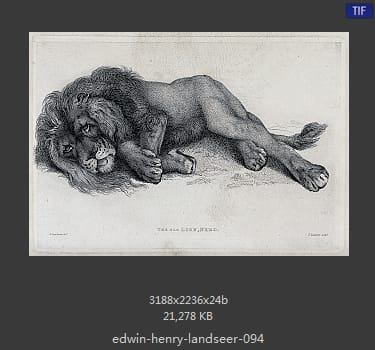 Edwin Henry Landseer