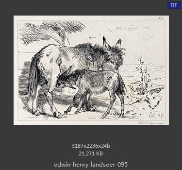 Edwin Henry Landseer