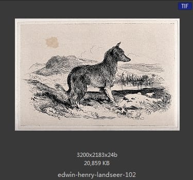 Edwin Henry Landseer