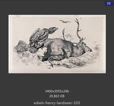 Edwin Henry Landseer