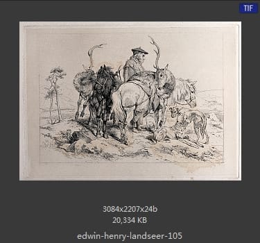 Edwin Henry Landseer