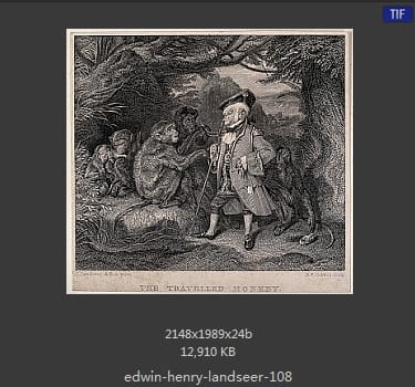Edwin Henry Landseer