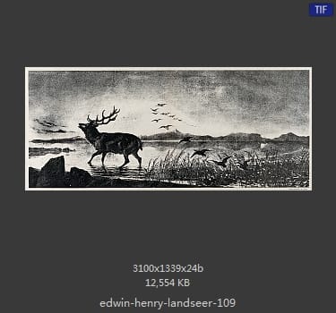 Edwin Henry Landseer