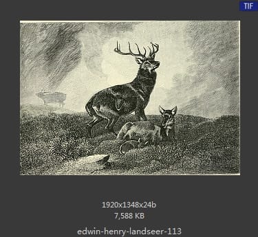 Edwin Henry Landseer