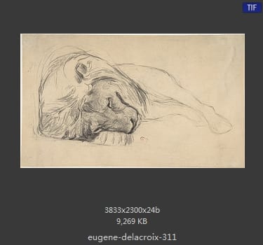 Eugene Delacroix