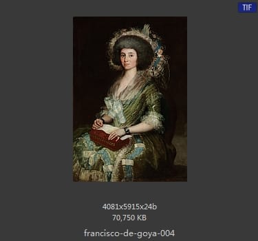Francisco Goya