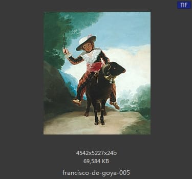 Francisco Goya