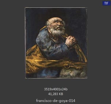 Francisco Goya