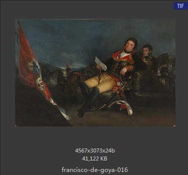 Francisco Goya