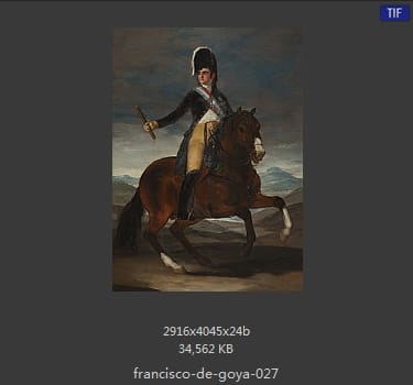 Francisco Goya