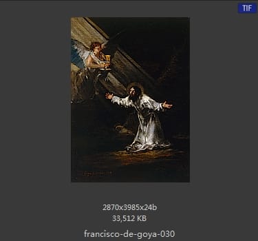 Francisco Goya