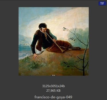 Francisco Goya