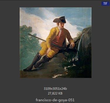 Francisco Goya