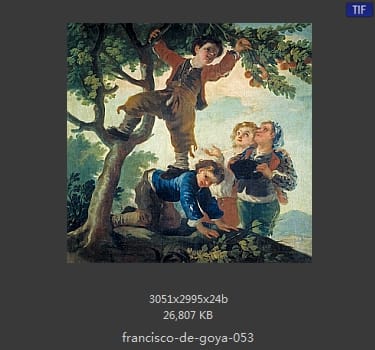 Francisco Goya