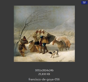 Francisco Goya