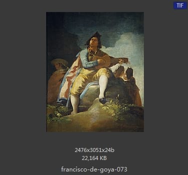 Francisco Goya