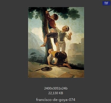 Francisco Goya