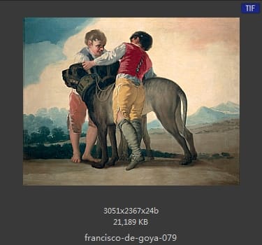 Francisco Goya