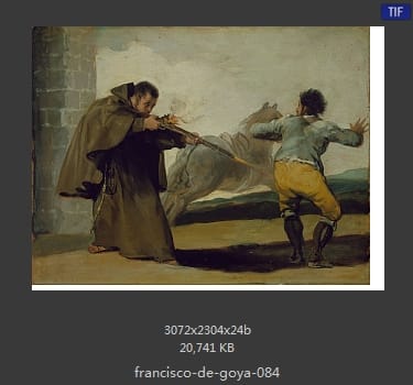Francisco Goya