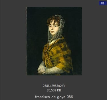 Francisco Goya