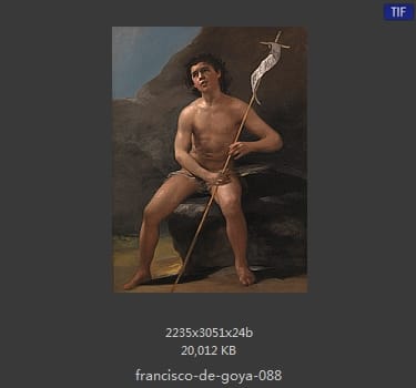 Francisco Goya