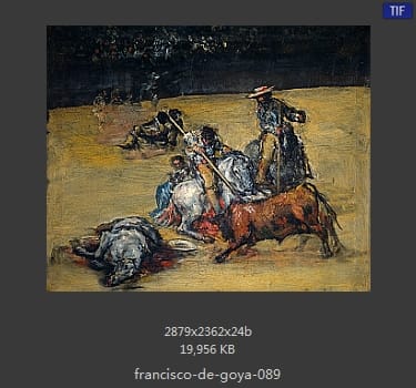 Francisco Goya