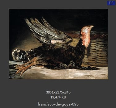 Francisco Goya