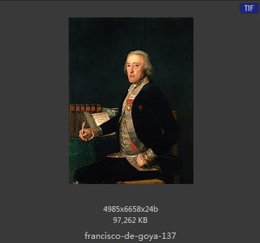 Francisco Goya
