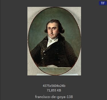 Francisco Goya