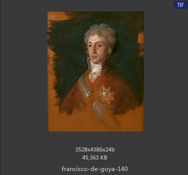 Francisco Goya